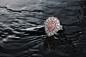 Yu-Chun Chou在 500px 上的照片Diamond ring on water