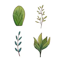 手绘卡通绿色植物元素  - 源文件下载【酷图网】手绘,植物,春天,绿色,黄色,草丛,线稿,叶子,树叶,树丛,枝条,卡通,装饰,元素,设计