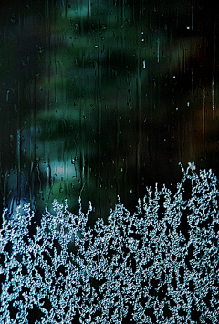 霓笙采集到雨滴控