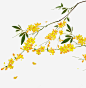 中国风黄色美丽花枝_新图网ixintu.com