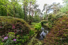 美,公园,自然,水平画幅,乌特勒支,户外,徒步旅行,树荫,植物,荷兰