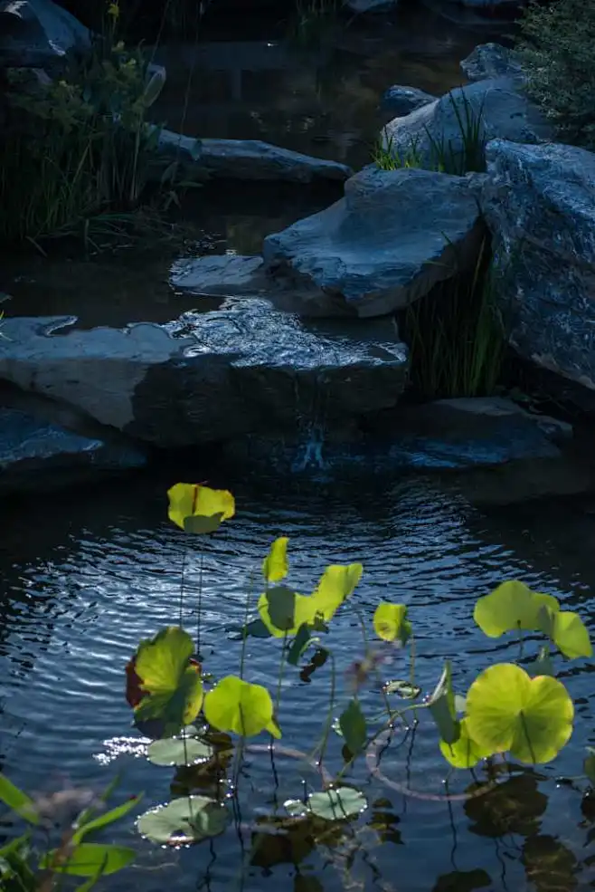 泰禾.青云小镇 Taihe Qingyun Town / 广亩景观 : 本文由广亩景观授权mooool发表，欢迎转发，禁止以mooool编辑版本转载。 Thanks GM Landscape Design for authorizing the publication of the project on mooool, Text description provided by GM Landscape Design. 广亩景观：泰禾·青云...