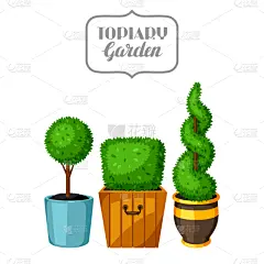 华丽的,树木造型,植物群,黄杨木,简单背景,花盆,环境,公园,树,休闲
