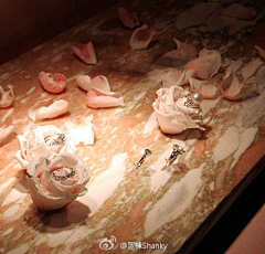 小妮子来了采集到橱窗设计