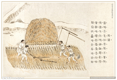 野小野采集到语文教材素材