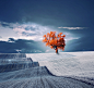 The rise color of IR : Photo manipulation based on my own stock photography

Feel free to share/like as much as you want!

BEST TUTORIALS COLLECTION 2013 l HOW IT\'s MADE l PURCHASE the PRINT

If you like this work or any other of mine, you can order the 