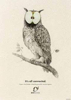 f979085fc9e55f0f88108cae268ebfd231e6163c5df5e-ia33YN_fw658