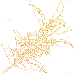 植物系列古风桂花金色线稿元素