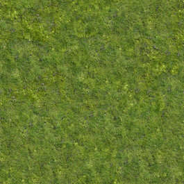 grass short