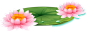 20200410-171542-b334