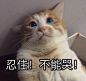 微末壁纸的微博_微博