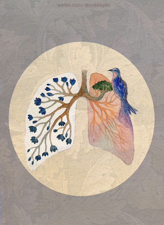 麒缘kylin 的插画 生长 肺