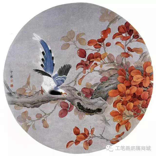 欣赏周中耀工笔花鸟小品40幅张张精彩