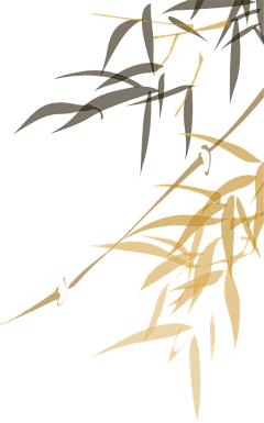 DMENG~采集到花草树木