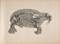 Die vergleichende Osteologie绘制的动物骨骼解剖图，1821