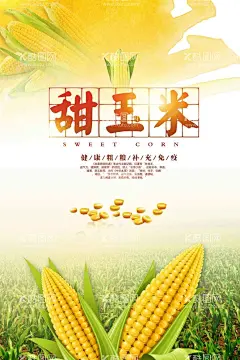 玉米  - 源文件下载【酷图网】玉米,熟玉米,生玉米,玉米广告,玉米宣传,玉米海报,玉米挂图,水果玉米,玉米地,苞米,苞米地,糯玉米,香甜玉米,玉米种子图片,嫩玉米海报,鲜玉米,种子传单,玉米种子传单,玉米种子,种子宣传单,玉米包装,玉米展板,化肥海报,种子化肥,玉米化肥海报,苞米种子,苞米种子传单,五谷杂粮,生态玉米,牛奶玉米