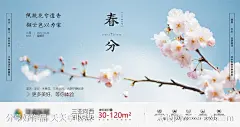 地产春分节气横版海报-源文件-志设网-zs9.com