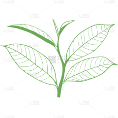 用户YQd2xdy2采集到茶
