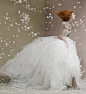 全球潮流婚纱：St. Pucchi 2012新款婚纱系列发布