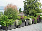 square overflowing planters