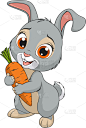 小的,兔子,幽默,分离着色,可爱的,白色,宠物,蔬菜,自然,复活节