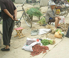 一路向北旅行采集到山东临沂特产自制红薯粉皮