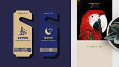 妄想登上月球的猫采集到品牌