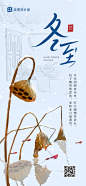 冬至