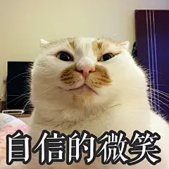 “哼，小辣鸡。看到小爷的98k了吗..现在投降给你个痛快..”    #表情包#