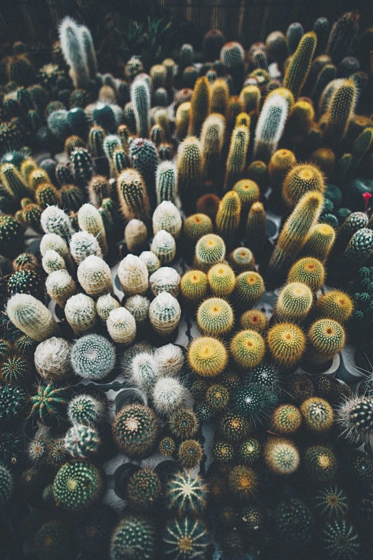 (45) Tumblr-花瓣网