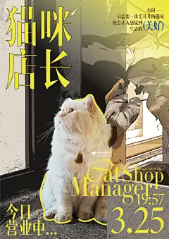 海报练习打卡21｜猫咪店长 - enda益达