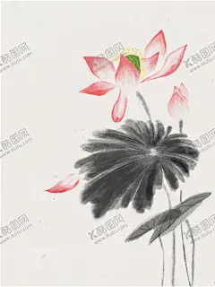 水墨荷花 【酷图网】水墨,淡雅,简单,荷花,荷叶