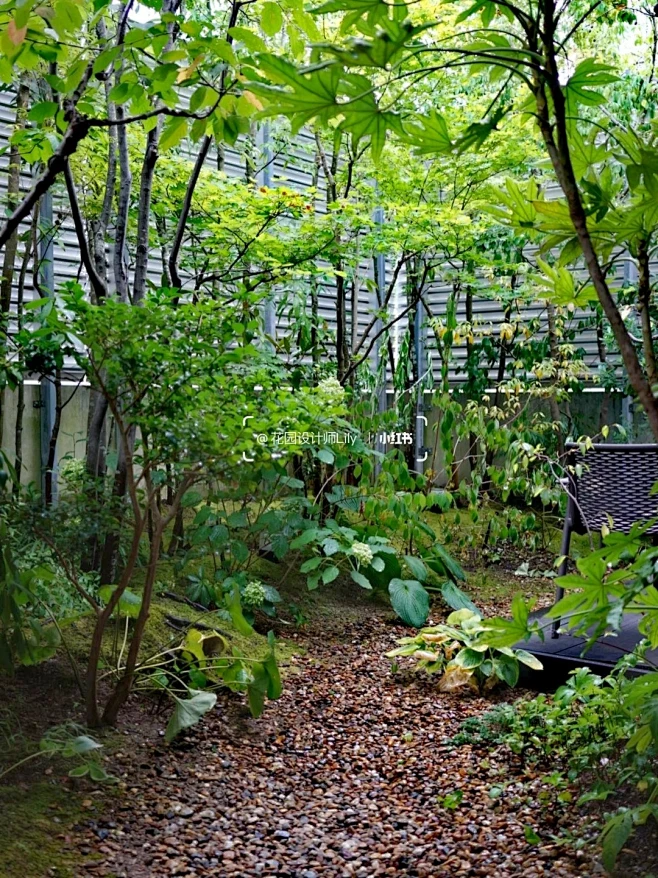 让自然成为生活的一部分｜杂木庭院欣赏_12_花园设计师Lily_来自小红书网页版-花瓣网