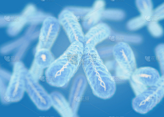 小咸鱼-采集到DNA/双螺旋