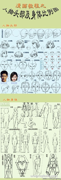 炖骨头采集到图研教学