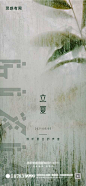 【源文件下载】 海报 二十四节气 立夏 绿植 436513