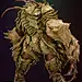 Insects