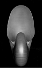 《Nautilus》爱德华·韦斯顿，1927