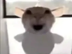 三角洲 鼠鼠表情包大全 评论区自取