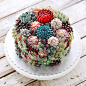 Delicious Flower and Terrarium Cakes – Fubiz Media