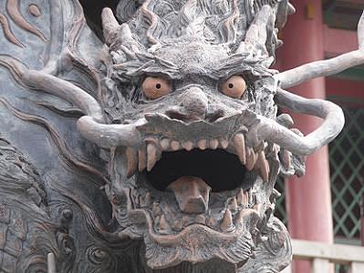 正面から见た龙