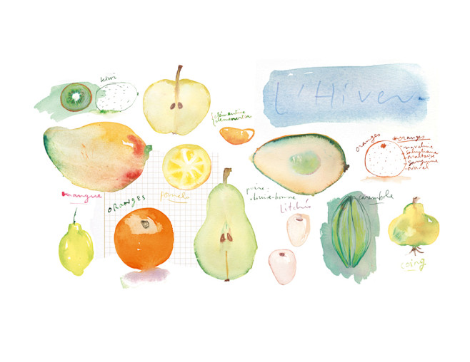 Lucile Prache/Illust...