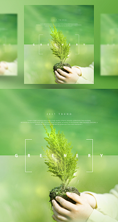 Yes100采集到清新背景  绿色植物  主题海报
