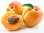 The health benefits of apricot include its ability to treat indigestion, constipation, earache, fevers, skin diseases, cancer and anemia. Apricot oil is useful for treating strained muscles and wounds. It is also believed that apricot is good for skin car