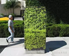 Colin·高超·景观规划采集到墙体彩绘