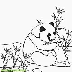 11张动物园大明星宝宝大熊猫涂色图片免费下载！ | 涂色集，涂色画打印大图 : 熊猫是一种非常可爱的动物，它们生活在中国的山区和竹林中。它们身体圆圆的，毛茸茸的，黑白相间的颜色让人想起一个小圆球。它们的眼睛是黑黑的，鼻子是圆圆的，看起来非常温柔。熊猫的耳朵很小，但非常灵敏，能听到很远的声音。熊猫的爪子很有特点，拥有6个 11张动物园大明星宝宝大熊猫涂色图片免费下载！