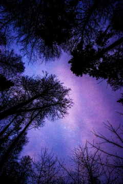 ling幂采集到星空