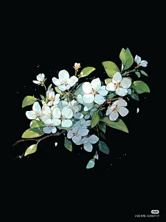 梨花