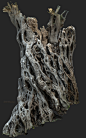 k-o-r-e-y-b-a-ancient-tree-02-10milpoly-2x16k-322-s