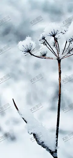 手机壁纸 【酷图网】手机壁纸,卡通壁画,手绘卡通封面,唯美壁画,漫画手绘,创意装饰画,客厅壁画,漫画插画,日记本封面,北欧挂画,手绘素材,可爱装饰画,创意插画,欧式装饰画,儿童房挂画,手绘元素,漫画素材,水彩画,可爱漫画,大自然油画